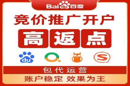 行业报告：专业SEM托管的成功实践与挑战